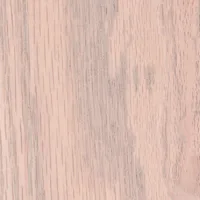 Birch